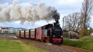 Die Schmalspurbahn Molli dampft durch einen Ort. © NDR Foto: Jana Hobe