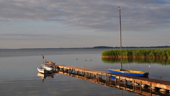 Steg in Neeberg © NDR Foto: Rolf Schröder aus Sauzin