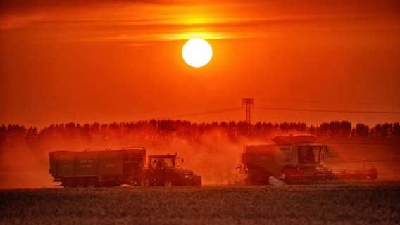 Erntearbeiten beim Sonnenuntergang Pasewalk © NDR Foto: Andy Bünning aus Pasewalk