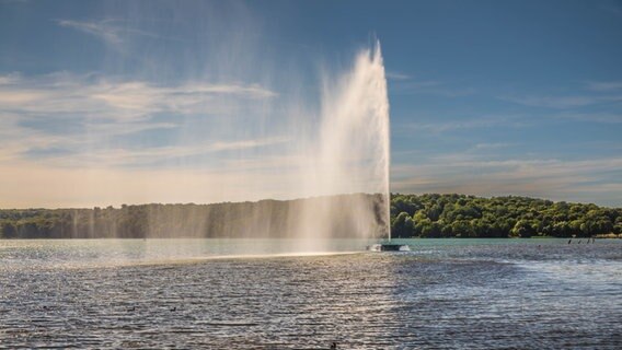 Wasserfontaine am Badehaus im Kulturpark Neubrandenburg © NDR Foto: Detlef Meier aus Ducherow