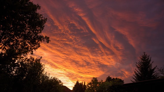 Sonnenuntergang Mirow © NDR Foto: Andreas Krippner aus Mirow