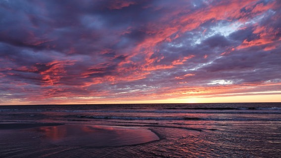 Sonnenaufgang Strand Prerow © NDR Foto: Thomas Lade aus Barth