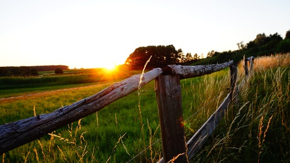 Sonnenuntergang Labenzer Teichen © NDR Foto: Ralph-Ingo Unger aus Labenz