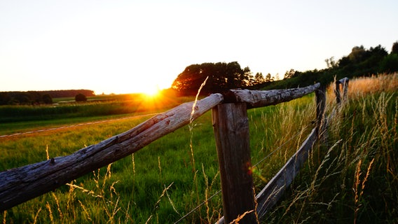 Sonnenuntergang Labenzer Teichen © NDR Foto: Ralph-Ingo Unger aus Labenz