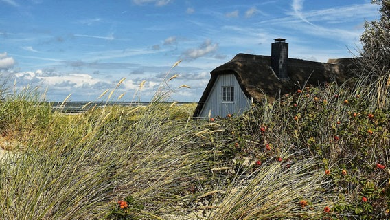 Haus in den Dünen von Ahrenshoop. © NDR Foto: Stephanie Scheel aus Rostock,