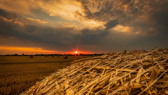 Sonnenuntergang hinter Strohballen. © NDR Foto: Günter Kamp aus Greifswald