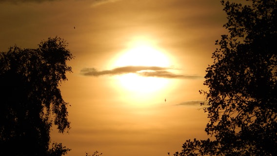 Sonnenuntergang in Kratzeburg. © NDR Foto: Susan Hoffmann aus Kratzeburg