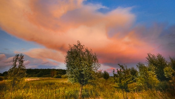 Abendhimmel über Wreechen. © NDR Foto: Sabine Funke aus Putbus