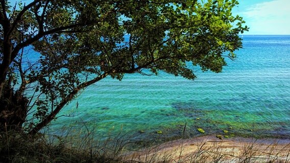 Blick von der Steilküste bei Warnemünde auf den Strand. © NDR Foto: Werner Fuchs aus Rostock