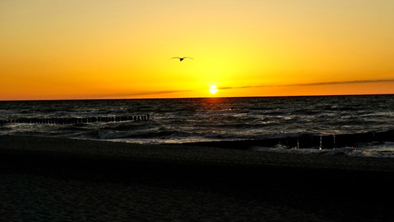 Sonnenuntergang am Strand von Kühlungsborn. © NDR Foto: Katrin Timm aus Neubrandenburg