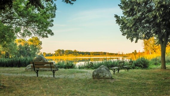 Bänke am Mühlenteich von Friedland. © NDR Foto: Detlef Meier aus Ducherow