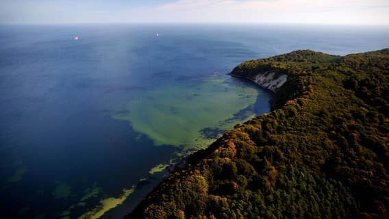 Luft-Aufnahme von Ostseestrand zwischen Binz und Sellin auf Rügen. © NDR Foto: Gernot Rücker aus Rostock