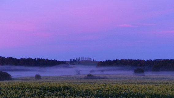 Mond am sternenklaren Himmel. © NDR Foto: Gabriele Riech aus Kuchelmiß