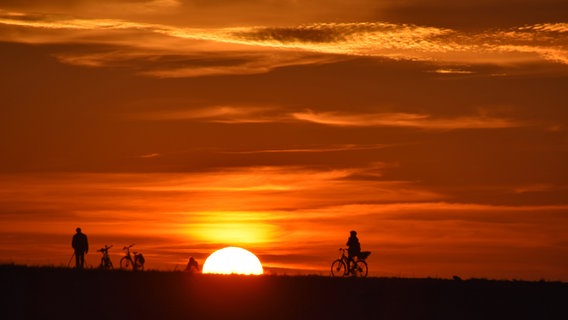 Radfahrer im Sonnenuntergang © NDR Foto: Jana Hobe aus Rostock