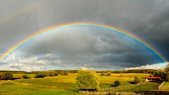 Ein Regenbogen verläuft über ein grünes Feld. © NDR Foto: Heinz Franke aus Groß Roge