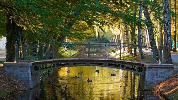 Brücke über einen kleinen Bach in einem Park © NDR Foto: Robert Auer aus Schwerin