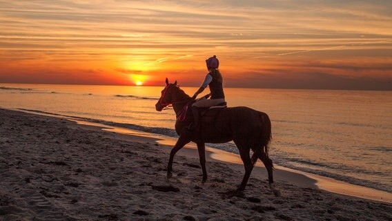 Reiter am Strand © NDR Foto: Ernst Fischer aus Ribnitz-Damgarten