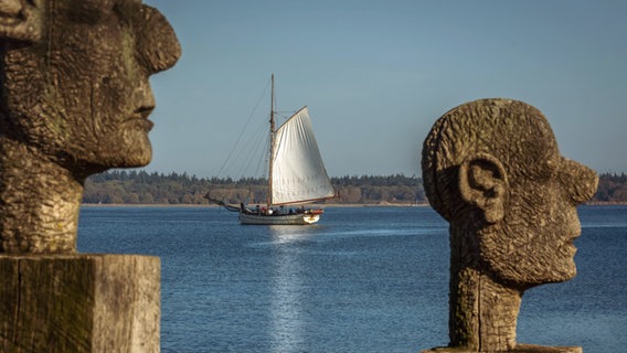 Ein Segler aus dem Museumshafen Greifswald kreuzt zwischen den Holzköpfen in Wieck auf dem Bodden. © NDR Foto: Günter Kamp aus Greifswald