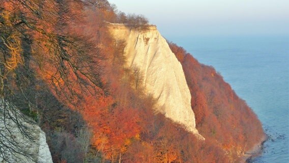 Königsstuhl auf Rügen im Herbst © NDR Foto: Wolfgang Jepp aus Bergen