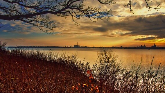 Sonnenuntergang in Altefähr auf der Insel Rügen © NDR Foto: Hartmut Heidrich aus Stralsund