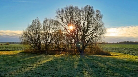 Sonnenaufgang über einem Feld bei Hanshagen © NDR Foto: Eckhard Noack aus Hanshagen