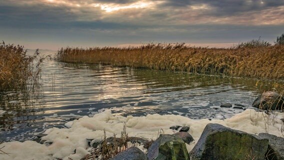 Schäumendes Achterwasser © NDR Foto: Günter Kamp aus Greifswald