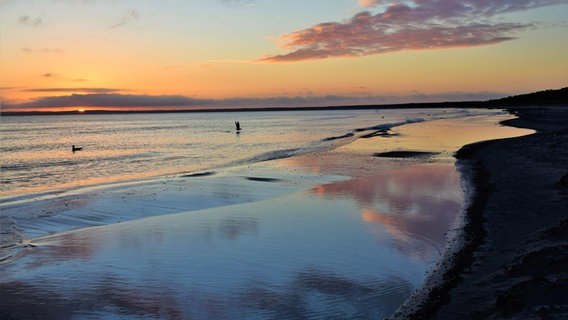 Sonnenaufgang an der Schaabe auf Rügen. © NDR Foto: Corinna Schaak aus Altenkirchen