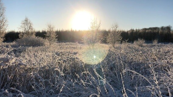 Die Sonne scheint auf eine schneebedeckte Wiese mit Bäumen. © NDR Foto: Franziska Leder aus Parchim