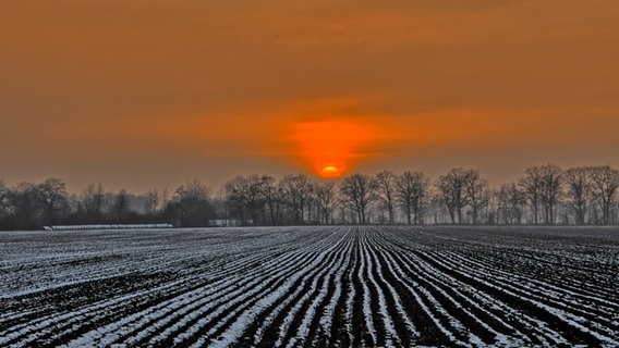 Blick über ein beschneites Feld bei Sonnenuntergang. © NDR Foto: Uwe Meyer aus Lübtheen