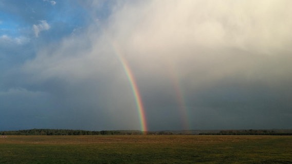 Blick auf einen Regenbogen über einer Wiese. © NDR Foto: Maria Mehl aus Schwerin