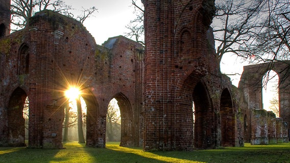 Die Klosterruine Eldena bei Greifswald. © NDR Foto: Uwe Kantz