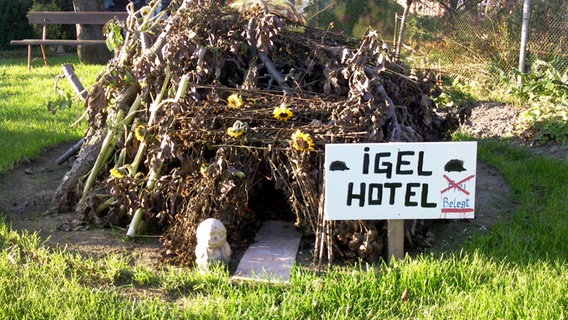 Vor einem großen Laubhaufen steht ein Schild mit der Aufschrift "Igelhotel". © NDR Foto: Kay und Anja Stromeyer