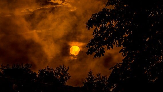 Sonnenaufgang © NDR Foto: Roger Lambert aus Mühlengeez