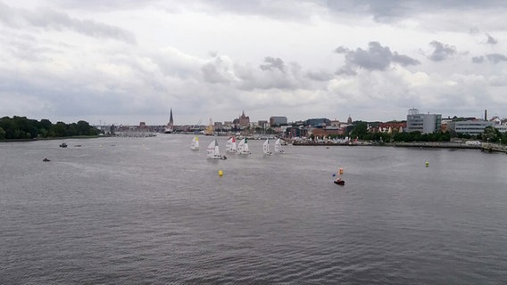 Segler im Rostocker Stadthafen © NDR Foto: Beate Seebann aus Rostock