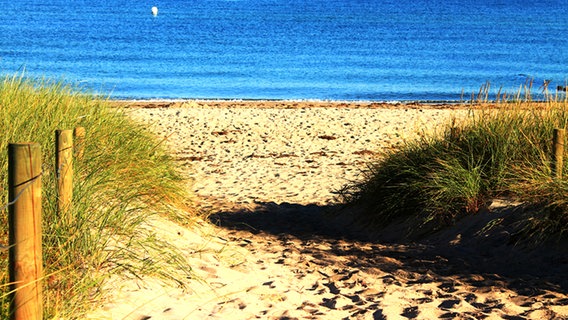 Ein Strandaufgang © NDR Foto: Ingo Krummheuer aus Rövershagen