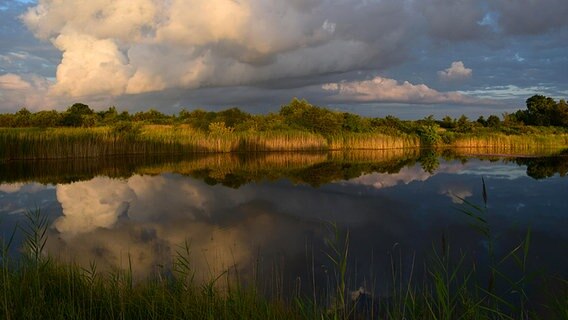 Eine Landschaft im Abendlicht spiegelt sich in einem See. © NDR Foto: Jürgen Nagorsnick aus Tempzin