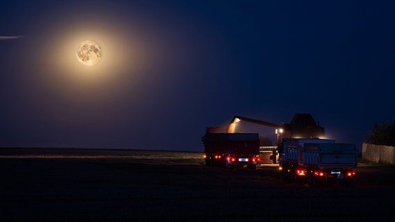 Erntearbeiten bei Nacht © NDR Foto: Thomas Hausrath und Marcel Guth aus Rostock