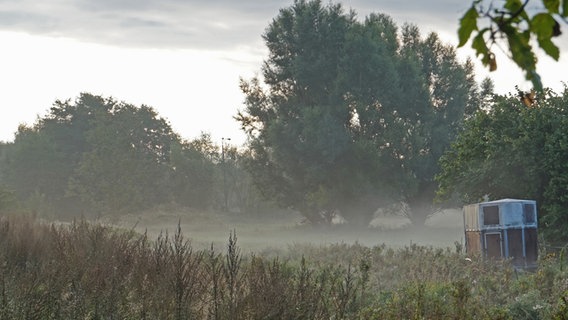 Nebel über eine Koppel © NDR Foto: Erika Wenzel aus Bad Doberan