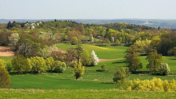 Blick auf hügelige Landschaft. Blick auf hügelige Landschaft. © NDR Foto: Jürgen Evert aus Güstrow