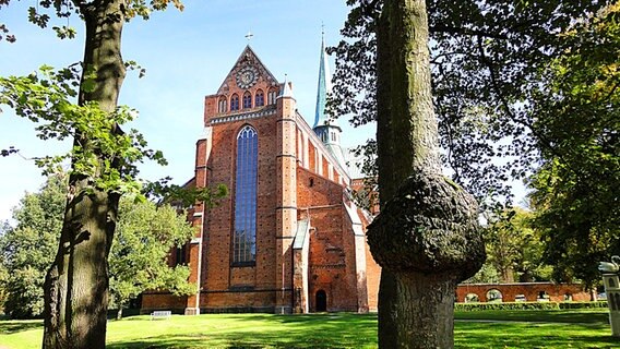 Hinter knolligen Bäumen steht das Doberaner Münster © NDR Foto: Reinhard Zimpel