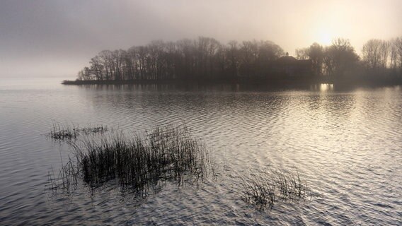vernebelter Güstrower Inselsee im Januar © NDR Foto: Jürgen Evert aus Güstrow
