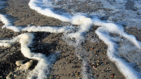 Meeresschaum bedeckt den Strand © NDR Foto: Ewald Broer aus Rostock
