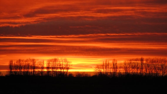 Rötlicher Sonnenuntergang © NDR Foto: Stefan Hußmann aus Diedrichshagen