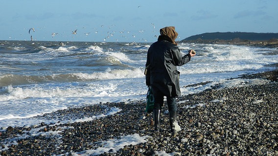 Steinesammlerin am Strand von Börgerende © NDR Foto:  Erika Wenzel aus Bad Doberan