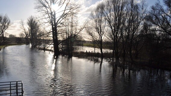 Hochwasser am Güstrow-Bützow-Kanal © NDR Foto: Frank Fritschan aus Zepelin