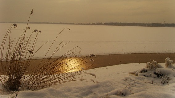 Blick auf den Schnee bedeckten See © NDR Foto: Heidi Till aus Kritzmow