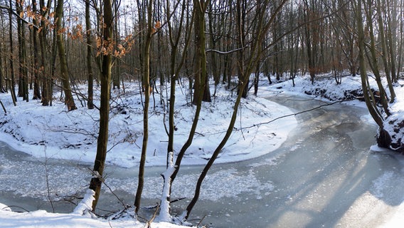Verschneiter Wald mit gefrorenem Fluss © NDR Foto: Ilona Jerjomin aus Rostock