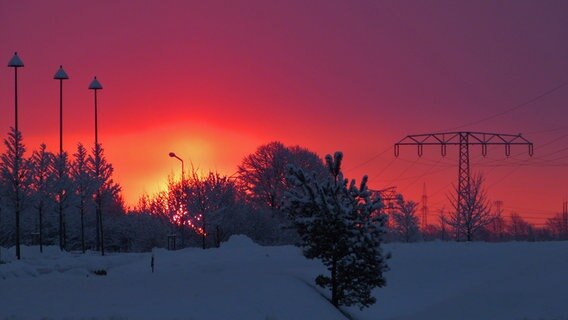 Violetter Sonnenaufgang über einer verschneiten Landschaft © NDR Foto: Bringfried Eisermann aus Bentwisch