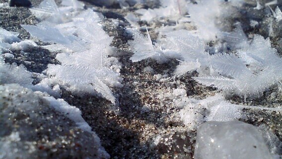 Eisblumen liegen am Strand von Börgerende © NDR Foto: Max Bonitz aus Rethwisch