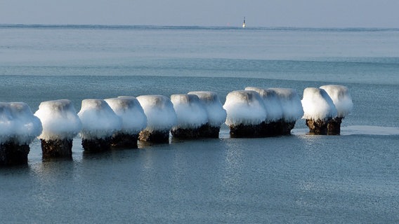Mit Eis bedeckte Buhnen am Strand von Markgrafenheide © NDR Foto: Bringfried Eisermann aus Bentwisch